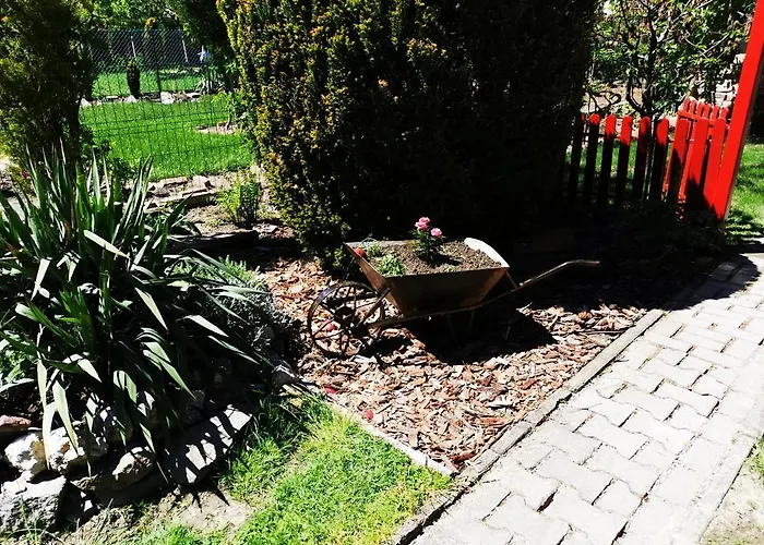 Lehel * 凯斯特海伊